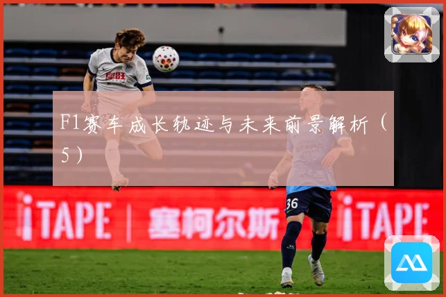 F1赛车成长轨迹与未来前景解析（5）